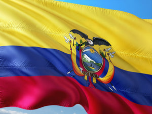 eSIM Ecuador - offering convenient and affordable data plans for travelers.